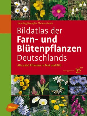 cover image of Bildatlas der Farn- und Blütenpflanzen Deutschlands